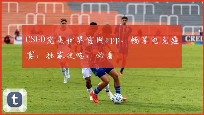 CSGO完美世界官网app，畅享电竞盛宴，独家攻略，必看
