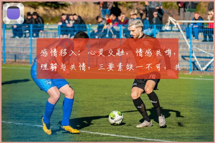 感情移入：心灵交融，情感共鸣，理解与共情，三要素缺一不可，共筑和谐人际。