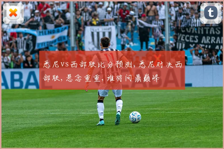 悉尼vs西部联比分预测,悉尼对决西部联,悬念重重,谁将问鼎巅峰