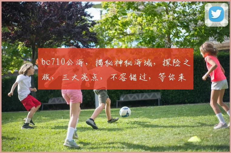 bc710公海，揭秘神秘海域，探险之旅，三大亮点，不容错过，等你来发现