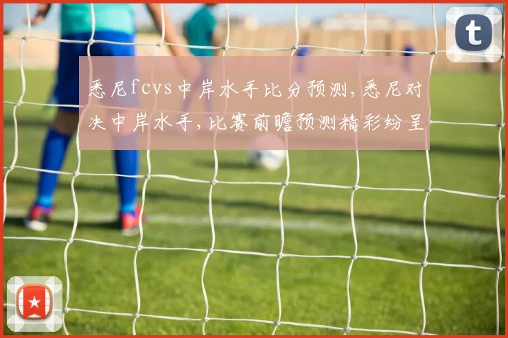 悉尼fcvs中岸水手比分预测,悉尼对决中岸水手,比赛前瞻预测精彩纷呈,一触即发