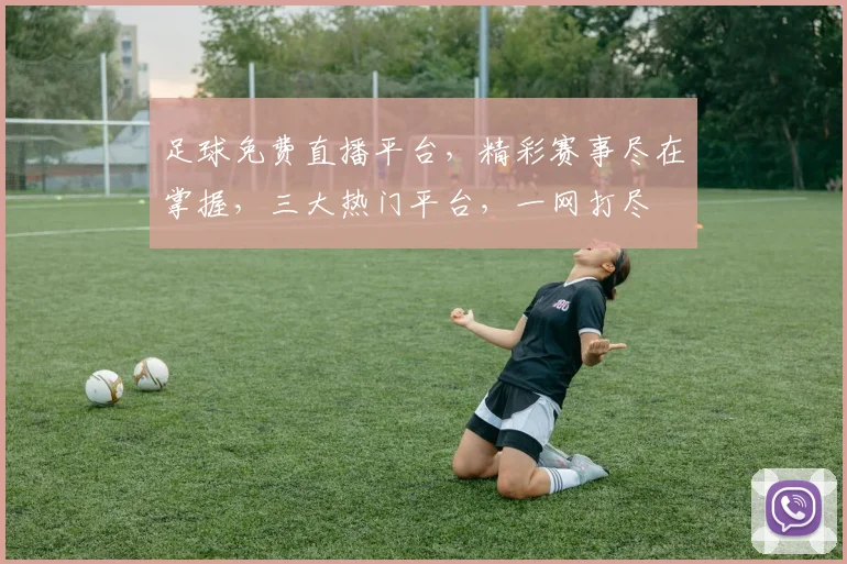 足球免费直播平台，精彩赛事尽在掌握，三大热门平台，一网打尽
