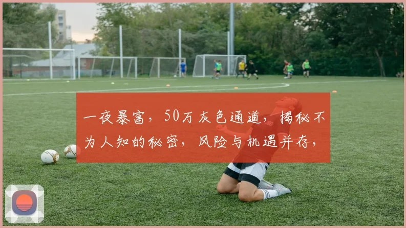 一夜暴富，50万灰色通道，揭秘不为人知的秘密，风险与机遇并存，你敢尝试吗